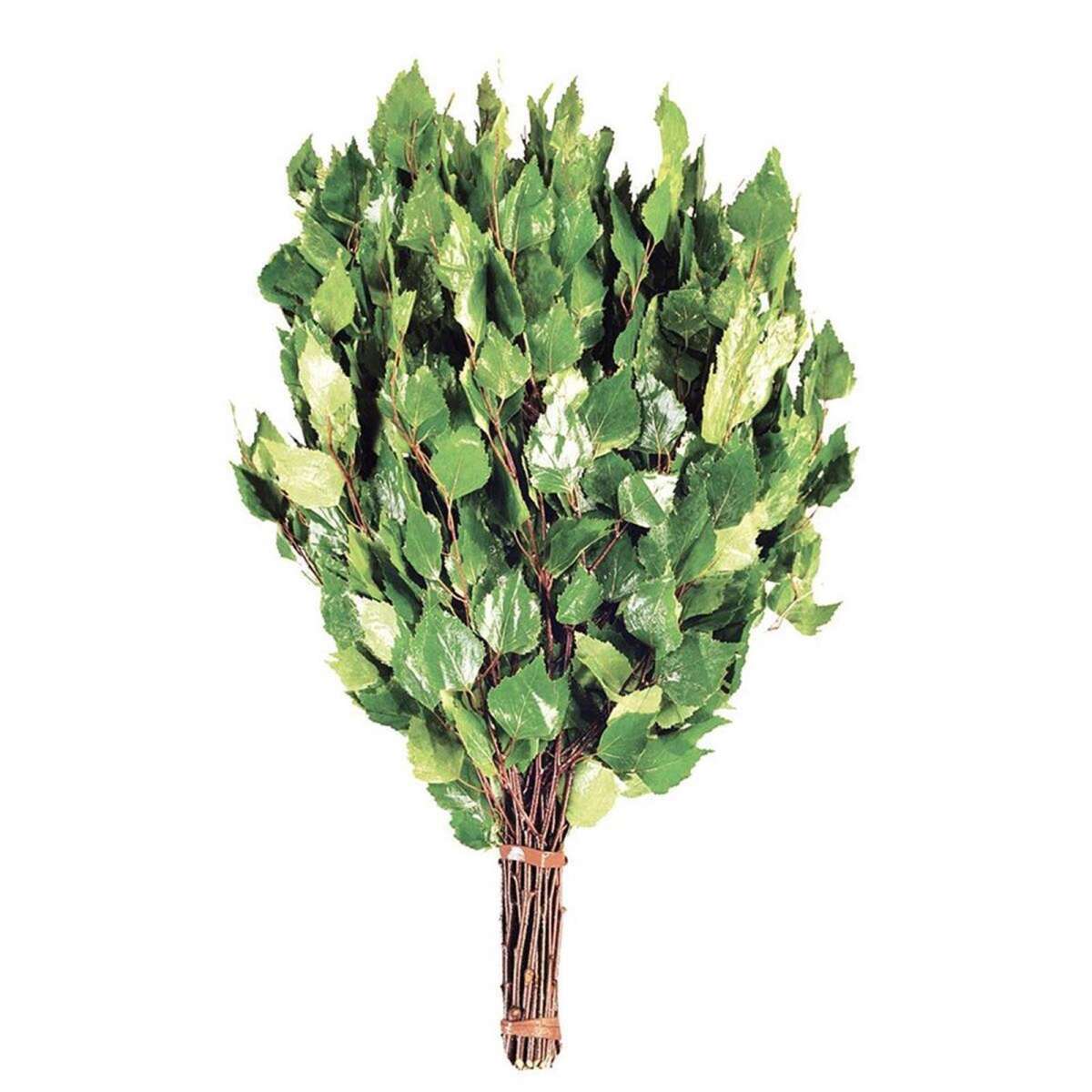 Gerbe De Branches Bouleau box