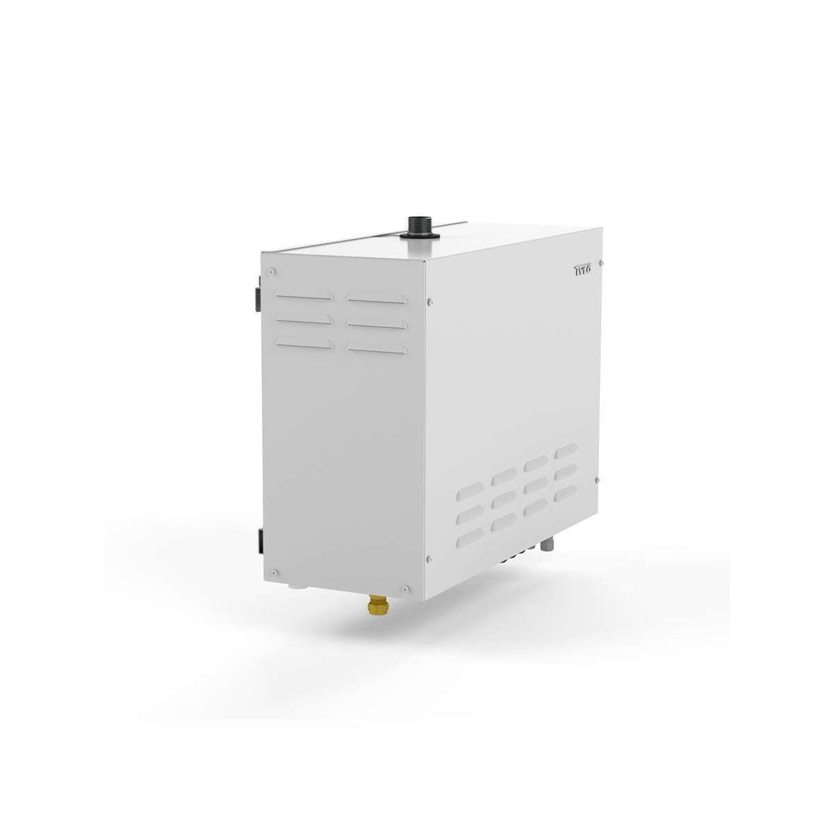 Dampfgenerator Tylö Steam Commercia box