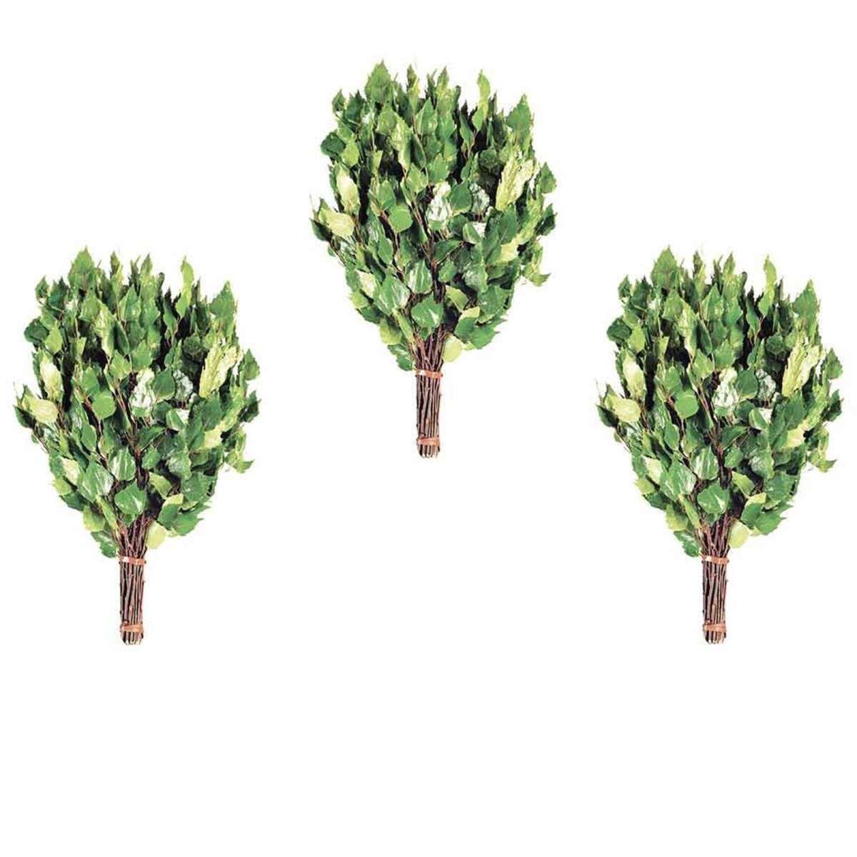 Gerbe De Branches Bouleau des choses box